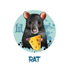 Rat chinese horoscope character isolated on white background. Symbol Of New Year 2020. Pet animal in round circle with hieroglyphic sign, digital art realistic illustration, greeting card design