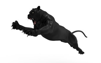 Black panther isolate on white background, Black tiger, 3d Illustration, 3d render