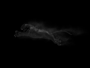 A black tiger moving and jumping with dust particle effect on black background, 3d illustration