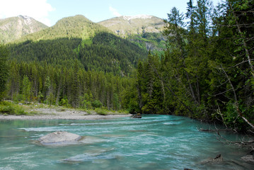 春のカナディアン・ロッキー　夕暮のロブソン川　キニー・レイクへのハイキングコース（マウント・ロブソン州立公園、カナダ）