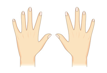 Fototapeta premium Vector hand in back side view on isolated. Illustration about Human body part.