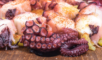 Octopus with potatoes (Polpo e patate)