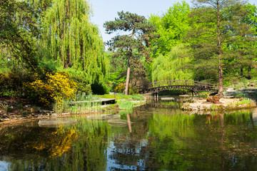 Fototapeta na wymiar view of botanical garden of Wroclaw at summer day, Poland