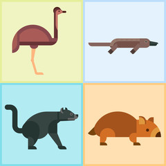Australia wild animals cartoon popular nature characters flat style and australian mammal aussie native forest collection vector illustration.