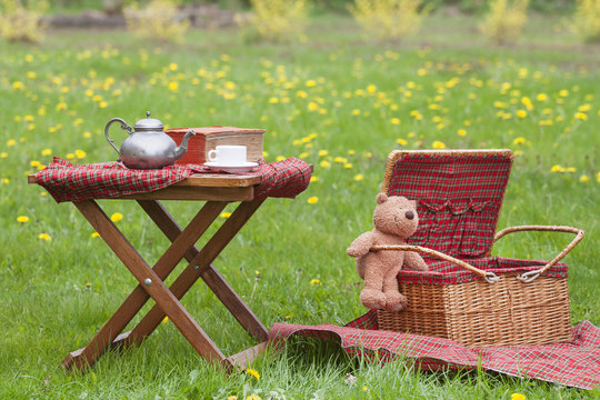 Basket for picnic with teddy bear on a blanket in the park