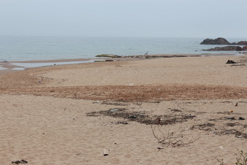a chair on beach 