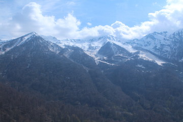 Obraz premium Highlands