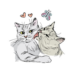 A pair of cats in love, hand drawing isolated on white background