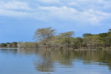 Kenia Safari