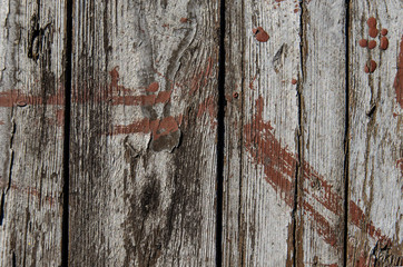Background of the wooden boards