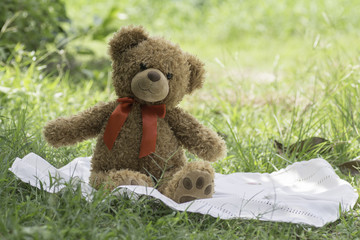 teddy bear picnic sitting on fabric in the garden.