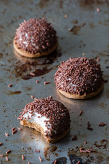 marshmallow chocolate biscuit
