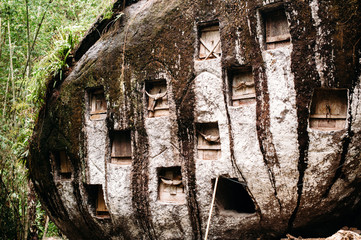 Old torajan burial site in Bori, Tana Toraja. The cemetery with coffins placed in a huge stone. Rantapao, Sulawesi, Indonesia © linortis