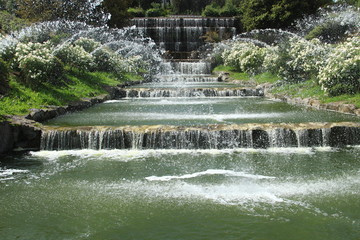 Obraz premium Il Giardino delle Cascate al laghetto di Roma Eur