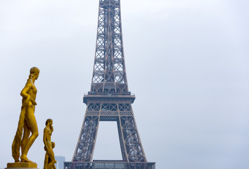 Fototapeta na wymiar View of the Eiffel tower seen from Trocadero square