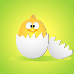 Easter chicken in shell.