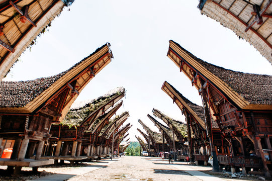 View Adat Toraja Rumah Tongkonan Vector Pics