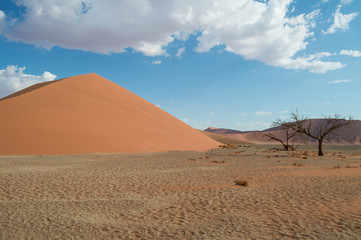 Fototapeta na wymiar Dune 45, Desert Landscape, Sossusvlei, Namibia