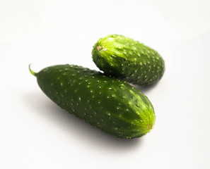 Two fresh natural beautiful green cucumber. Photo depicting a ripe delicious cucumber isolated on a white background with shadow. Close up, macro view.