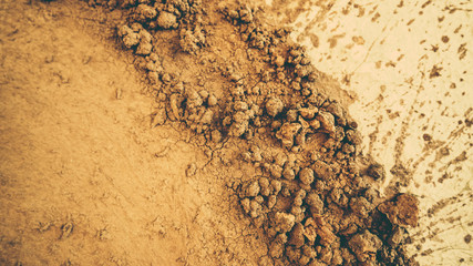 Mold Clay Soil On Ground