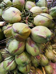 Dozen of coconut in farm, pile of young coconut in supermarket, closeup foreground focused