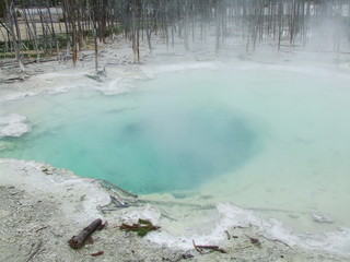 Yellowstone Gyser Winter