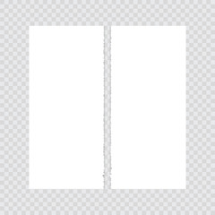 Paper torn in half on a transparent background. Vector illustration.