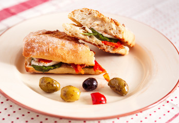 Italian Vegetarian Panini Sandwich