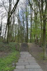 Passage avec escalier en pierres bleues au bois de Woluwe au sud de Bruxelles Capitale