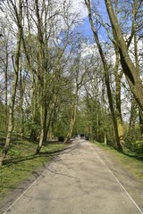 La Promenade Verte traversant le Bois de Woluwe au sud de Bruxelles Capitale Région
