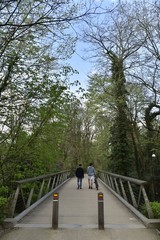 Promenade sur l'une des passerelles de la Promenade Verte dans la nature du parc des Sources de Woluwe-St-Pierre