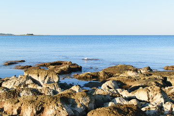 Sea shore of the Adriatic  Sea in Croatia, Europe