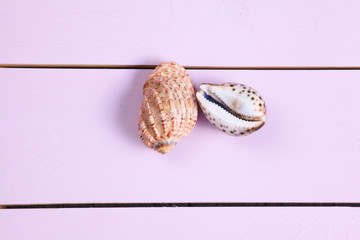 Shells lie on a pink wooden table