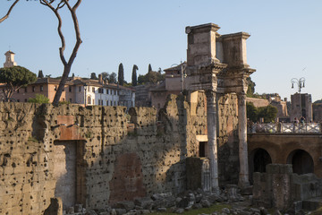 il Foro Romano