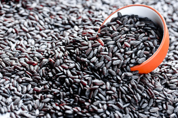 Organic black nerone rice