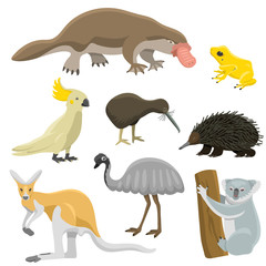 Obraz premium Australia wild animals cartoon popular nature characters flat style mammal collection vector illustration.