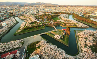 Hakodate Goryokaku fort surrounded by canal and cherry blossom trees