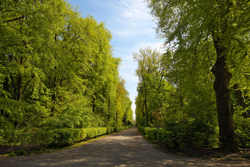 Obraz premium volkspark jungfernheide