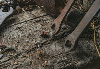 Old tools against the background of a tree