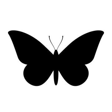 Moth vector icon
