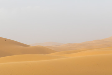 Fototapeta na wymiar desert 