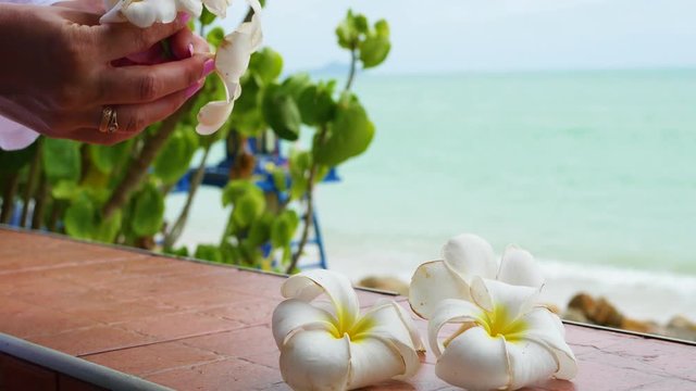 hand make floral arrangement of tropical flowers plumeria on the terrace