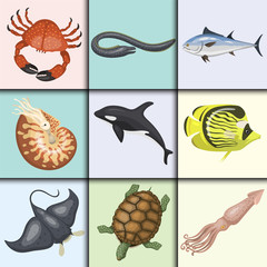 Set of different types of sea animals illustration tropical character wildlife marine aquatic fish