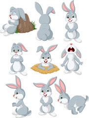 Fototapeta premium Kreskówka królik z inną pozą i wyrazem