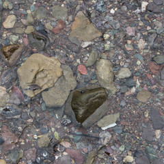 Rocks on the beach at Fundy National Park, New Brunswick, Canada