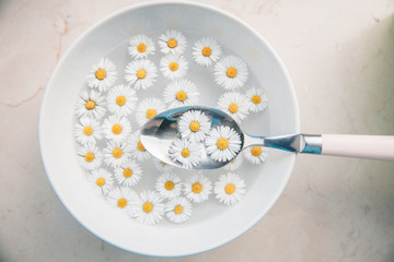 kochen mit natur produkten