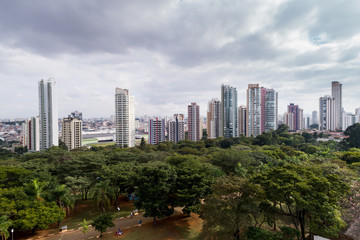 Fototapeta premium Aerial View of Ceret Park in Tatuape, Sao Paulo, Brazil