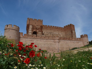 Castillo de la Mota