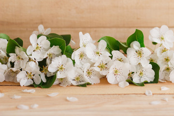 Petals and pear's blossom on the wooden table