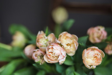 Armful of nude tulips